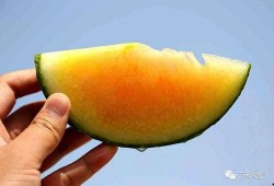 小彩虹吃瓜,揭秘娱乐圈幕后故事