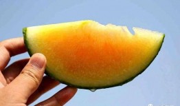 小彩虹吃瓜,揭秘娱乐圈幕后故事