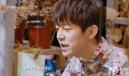 吃瓜大侦探,揭秘娱乐圈背后的真相与谜团