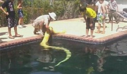 吃瓜群众进瓜园,一场甜蜜的田园之旅