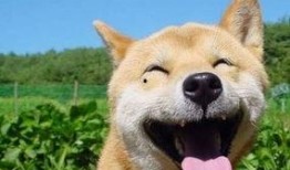 瓜子搞笑吃瓜视频,带你领略欢乐瞬间