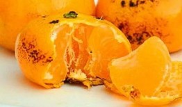 吃梨瓜为什么咳嗽,揭秘食用禁忌与健康风险