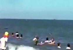 在大海中吃瓜,瓜果飘香的海上美食之旅