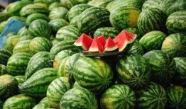 凤翔园天台吃瓜