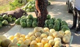 吃瓜聚集点,揭秘网络“吃瓜”聚集地的热点与奥秘