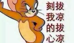 温暖吃瓜群众图片高清,温暖吃瓜群众的温馨瞬间