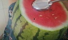 早上起床吃瓜,开启美好一天