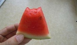 外国创意吃瓜,揭秘各国创意吃瓜盛宴