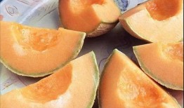 吃哈蜜瓜太多瓜拉绿便,过量食用哈蜜瓜引发绿色便便的奥秘解析