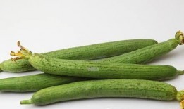 吃瓜中心网最热的瓜,揭秘最热瓜背后的惊人真相！