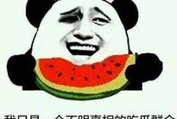 带你吃瓜吃粉丝的画面,带你领略美食盛宴