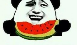 带你吃瓜吃粉丝的画面,带你领略美食盛宴