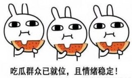 拒绝造谣理智吃瓜,守护网络清朗空间