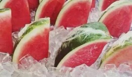 大雄的吃瓜日记玫瑰刺身,玫瑰刺身的奇幻之旅