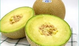 哈密瓜可以给宝宝吃吗,宝宝辅食新选择，营养美味两不误