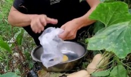 到娘家吃瓜,一场温馨的团圆盛宴