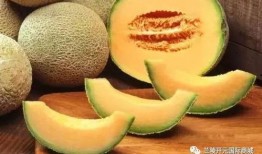 哈密瓜和牛奶间隔多久吃,哈密瓜与牛奶的最佳食用间隔解析