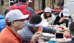 凤岭吃瓜群众事迹,见证时代变迁的民间观察者