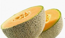 哈密瓜可以给宝宝吃吗,宝宝辅食新选择，营养美味两不误