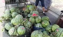 菏泽22年吃瓜事件,一场引发全民热议的神秘风波揭秘