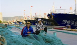 福建小渔船吃瓜,吃瓜群众的海洋生活剪影