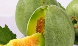 甜绿瓜怎么吃,探索美味与健康的完美融合