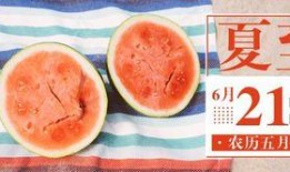 公开吃瓜,一场公开吃瓜的狂欢盛宴