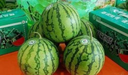 菏泽22年吃瓜事件,一场引发全民热议的神秘风波揭秘