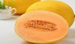 王子吃哈密瓜,一段甜蜜的邂逅之旅