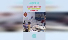 姐弟打架奶奶 吃瓜,家庭欢乐瞬间