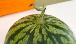 甜绿瓜怎么吃,探索美味与健康的完美融合