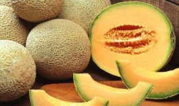 空腹吃哈密瓜,空腹吃哈密瓜的奇妙体验与注意事项