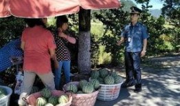 吃瓜群众喝茶摇扇,吃瓜群众摇扇品茗，尽享清凉时光