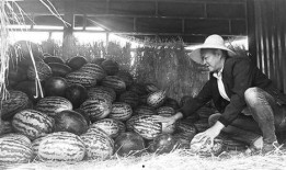 湘潭吃瓜群众事件,网络舆论的风暴与反思