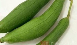 宝宝咳嗽吃瓠子瓜,天然食疗新选择