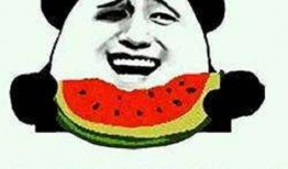 博士吃瓜小说,揭秘校园风云背后的秘密