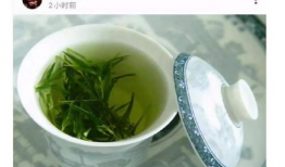 吃瓜的绿茶,网络热词背后的文化现象