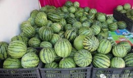 红街吃瓜,揭秘吃瓜群众的狂欢盛宴