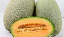 王子吃哈密瓜,一段甜蜜的邂逅之旅