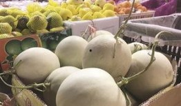 优雅吃瓜群众苹果,优雅吃瓜群众的时尚选择