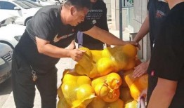 北京吃瓜群众报道