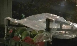 梦见下大雨吃瓜,大雨中瓜果飘香，揭秘梦境中的神秘体验