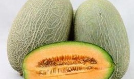 胃溃疡可以吃哈密瓜,营养与健康的完美结合