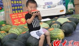 疯狂吃瓜版,揭秘娱乐圈幕后真相，带你领略明星们的真实生活