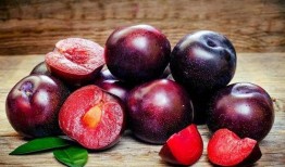 李黑李子吃瓜,揭秘娱乐圈幕后故事