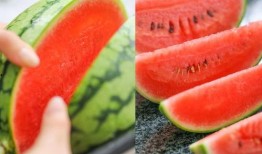 广州吃红瓜,红瓜的独特风味之旅