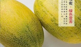 吃瓜哈密瓜头像,揭秘吃瓜哈密瓜头像的潮流魅力