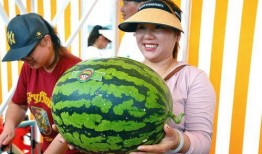 joy 吃瓜,揭秘娱乐圈的甜蜜与苦涩