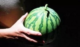 关注吃瓜协会,一场全民参与的美食盛宴