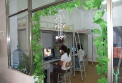 职校宿舍吃瓜,揭秘校园生活点滴